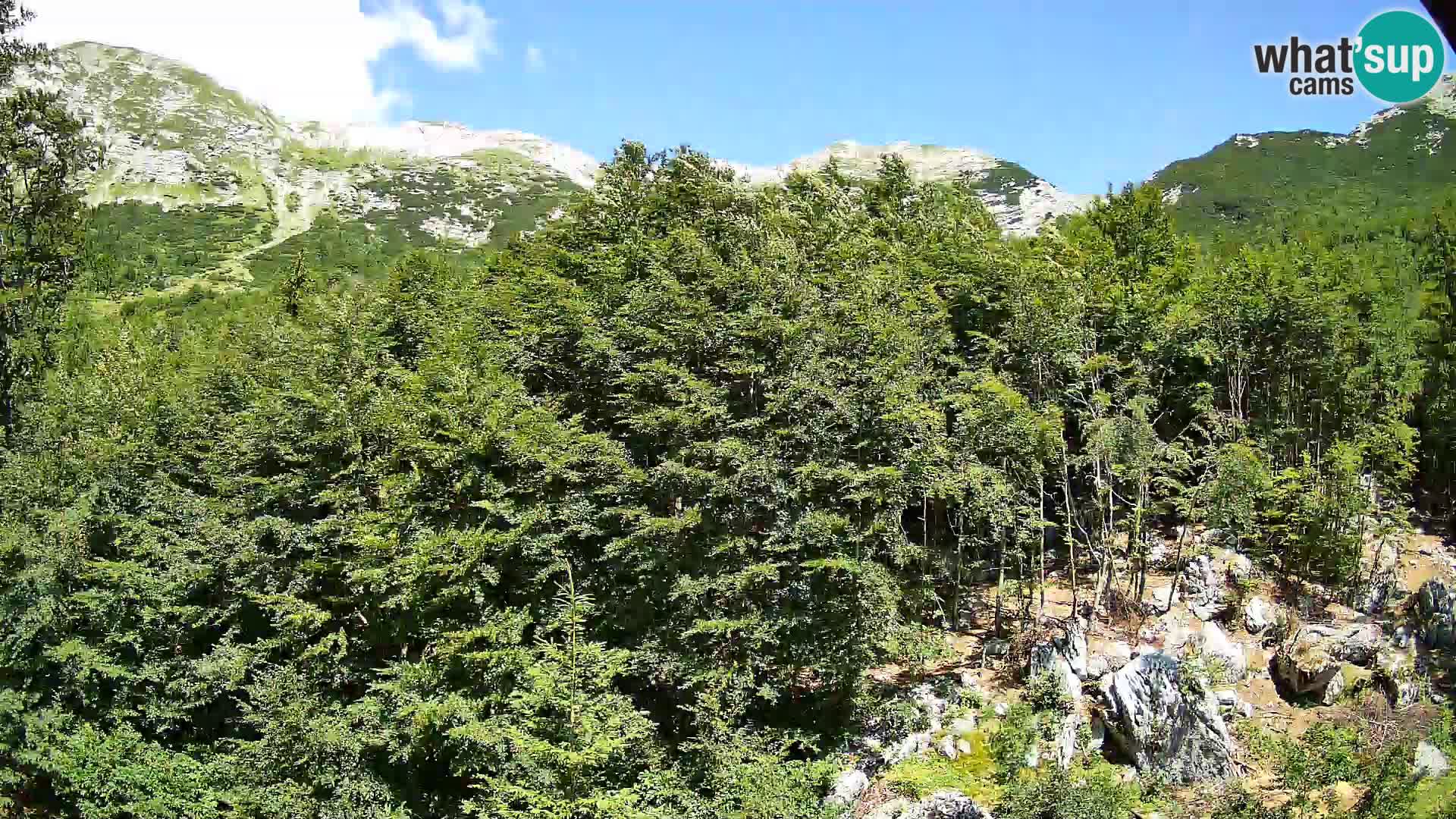 PLANINA RAZOR kamera (1315) | pogled na Vogel in Globoko