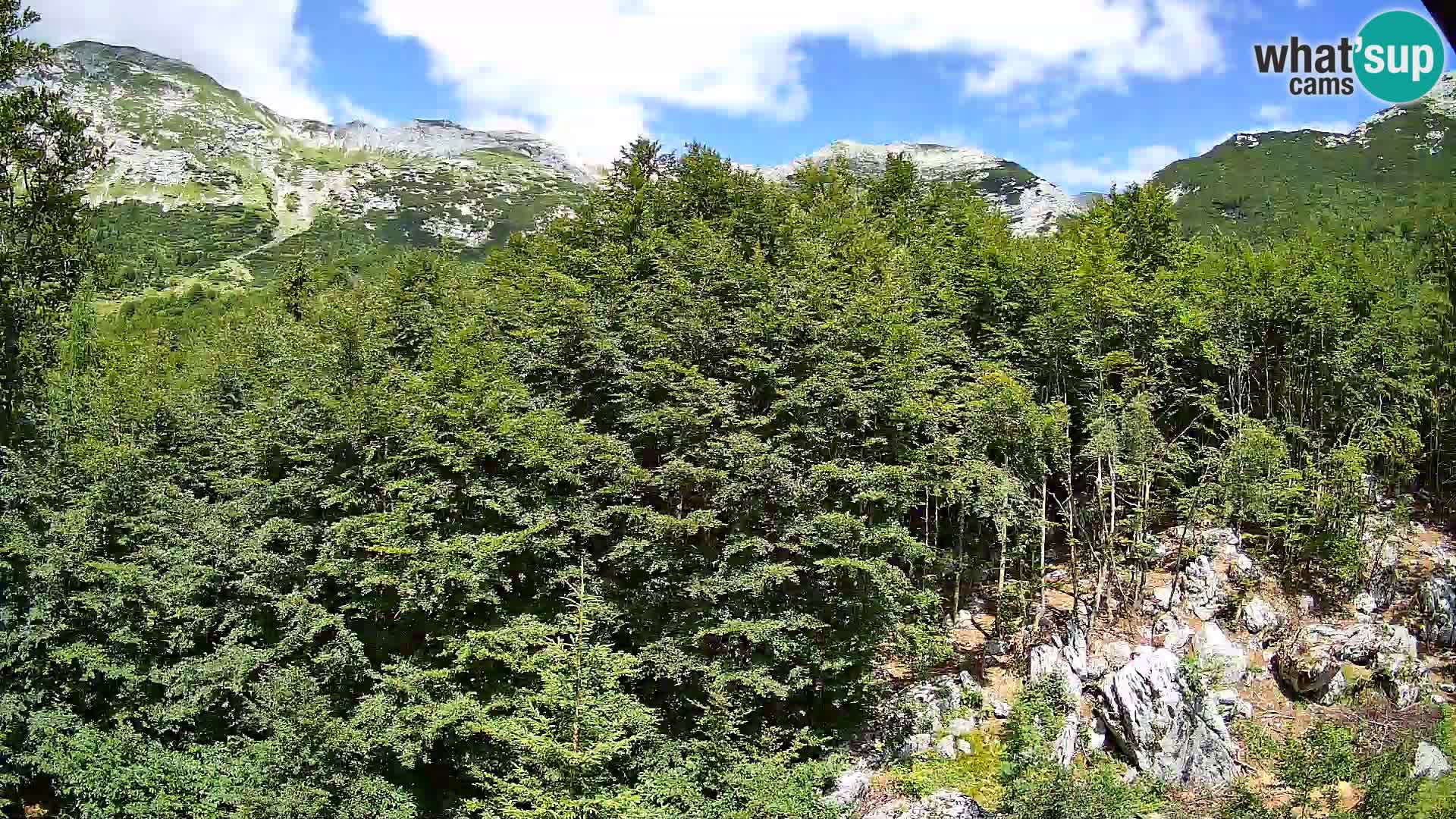 Webcam PLANINA RAZOR (1315) | Blick auf Vogel und Globoko