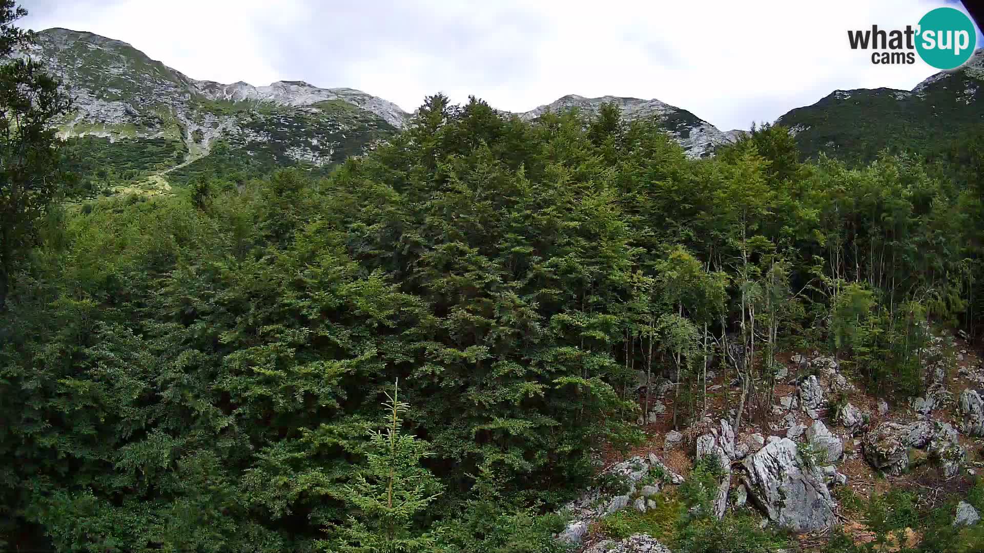PLANINA RAZOR Live Cam (1315) | vista su Vogel e Globoko