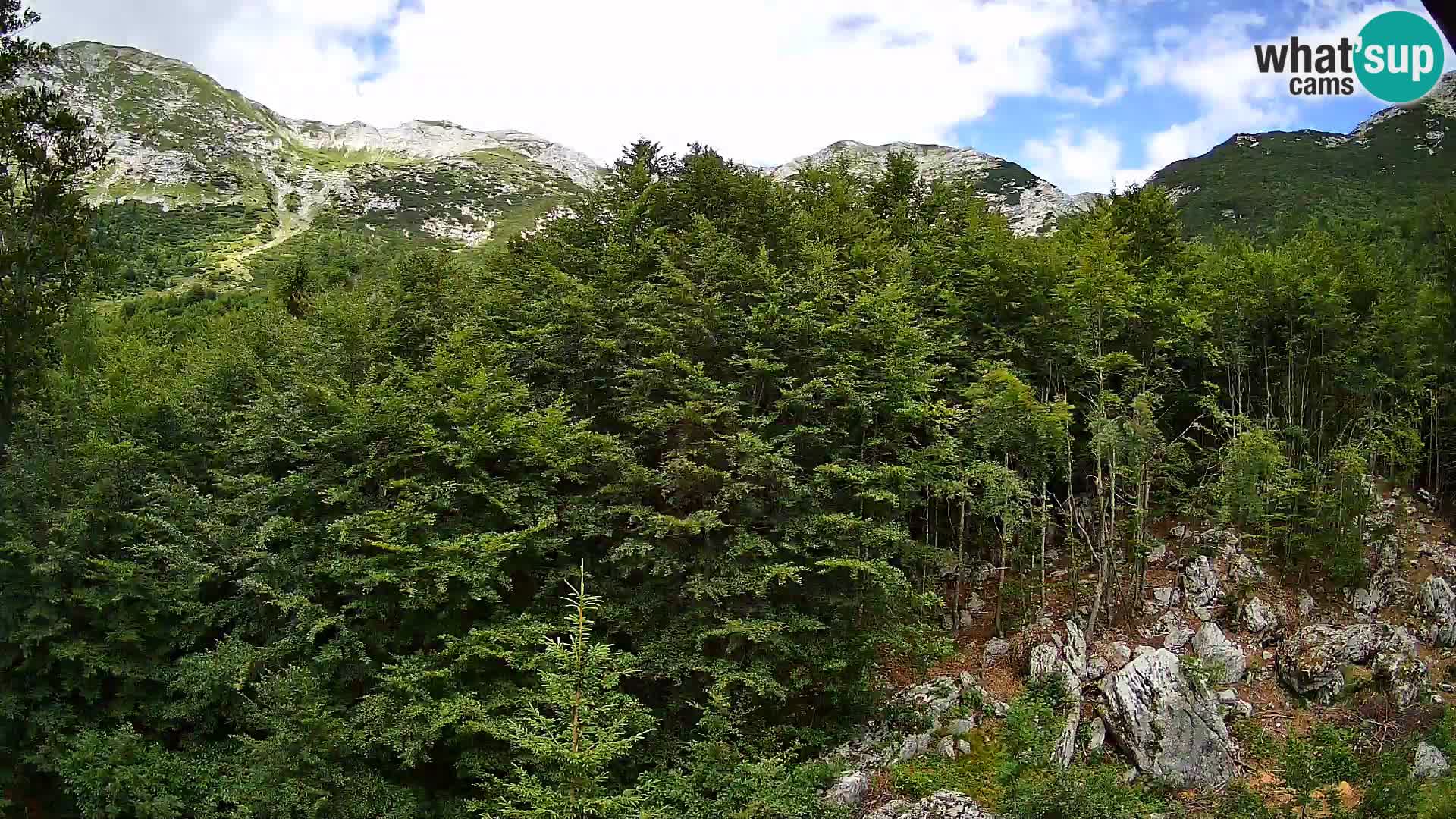 Cámara web PLANINA RAZOR (1315) | vista a Vogel y Globoko