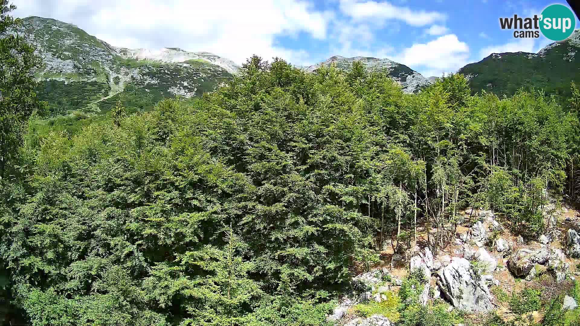 PLANINA RAZOR Live Cam (1315) | vista su Vogel e Globoko