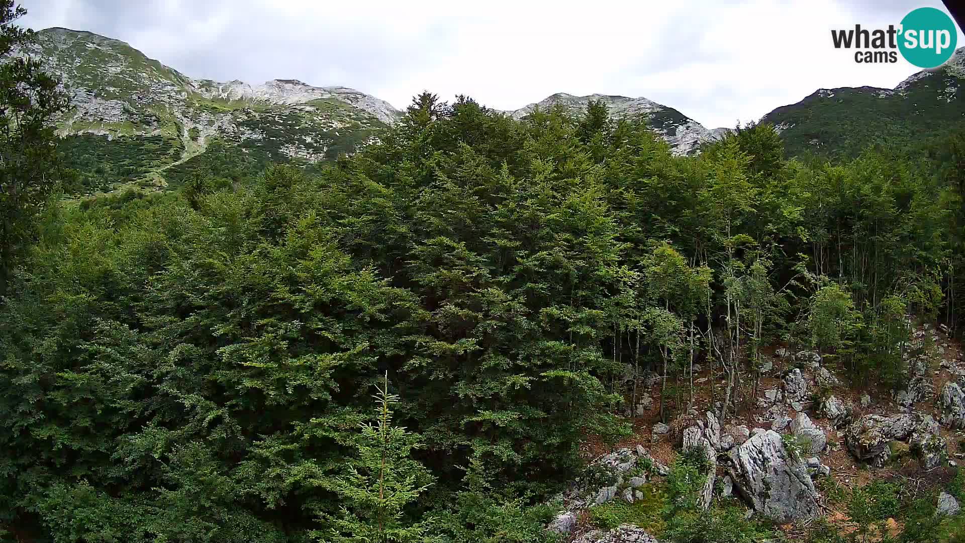 Cámara web PLANINA RAZOR (1315) | vista a Vogel y Globoko
