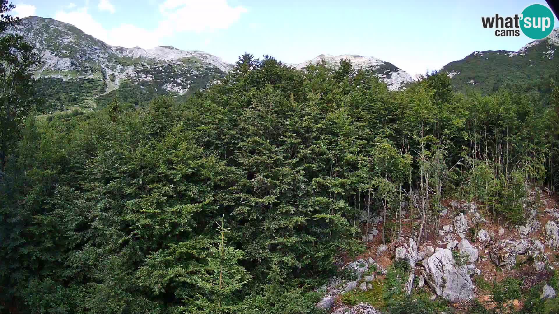 PLANINA RAZOR Live Cam (1315) | vista su Vogel e Globoko