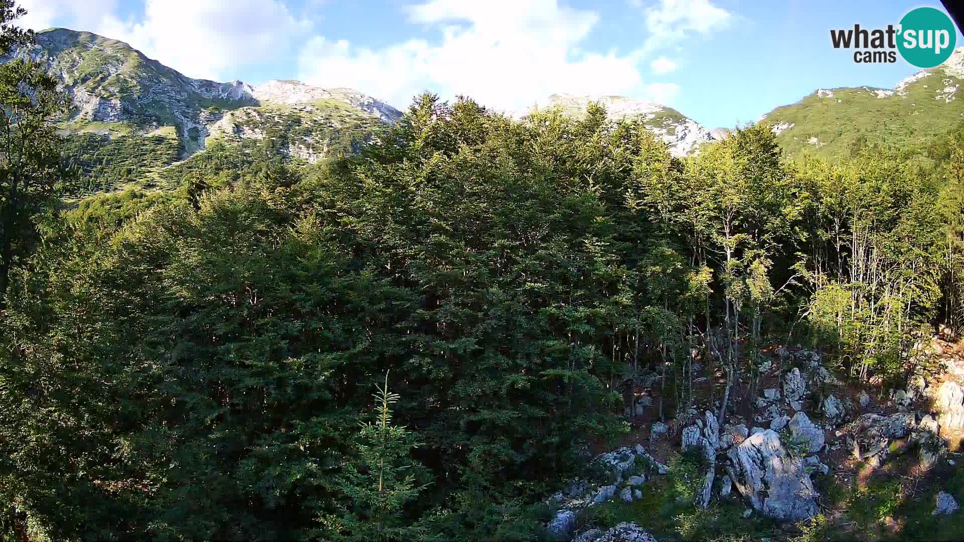 PLANINA RAZOR Live Cam (1315) | vista su Vogel e Globoko