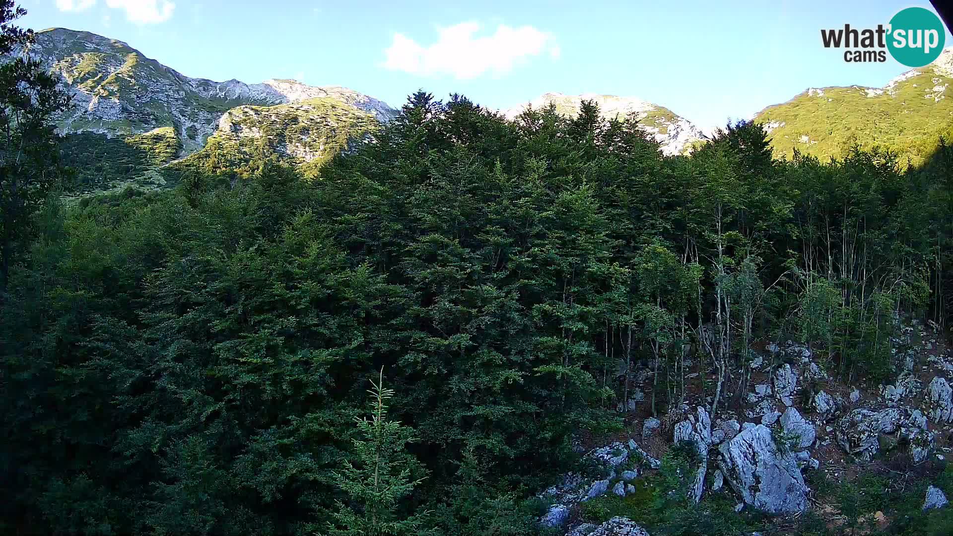 PLANINA RAZOR Live Cam (1315) | vista su Vogel e Globoko
