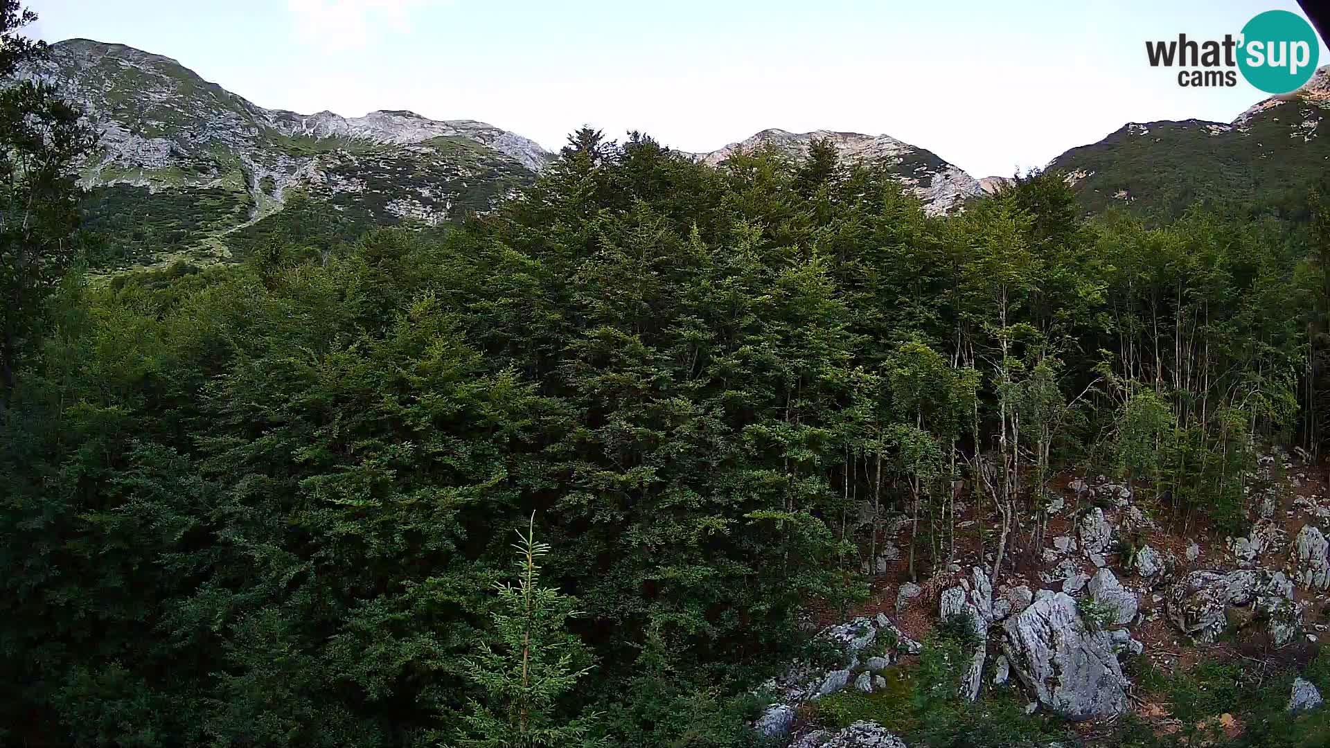 PLANINA RAZOR webcam (1315) | view to Vogel and Globoko
