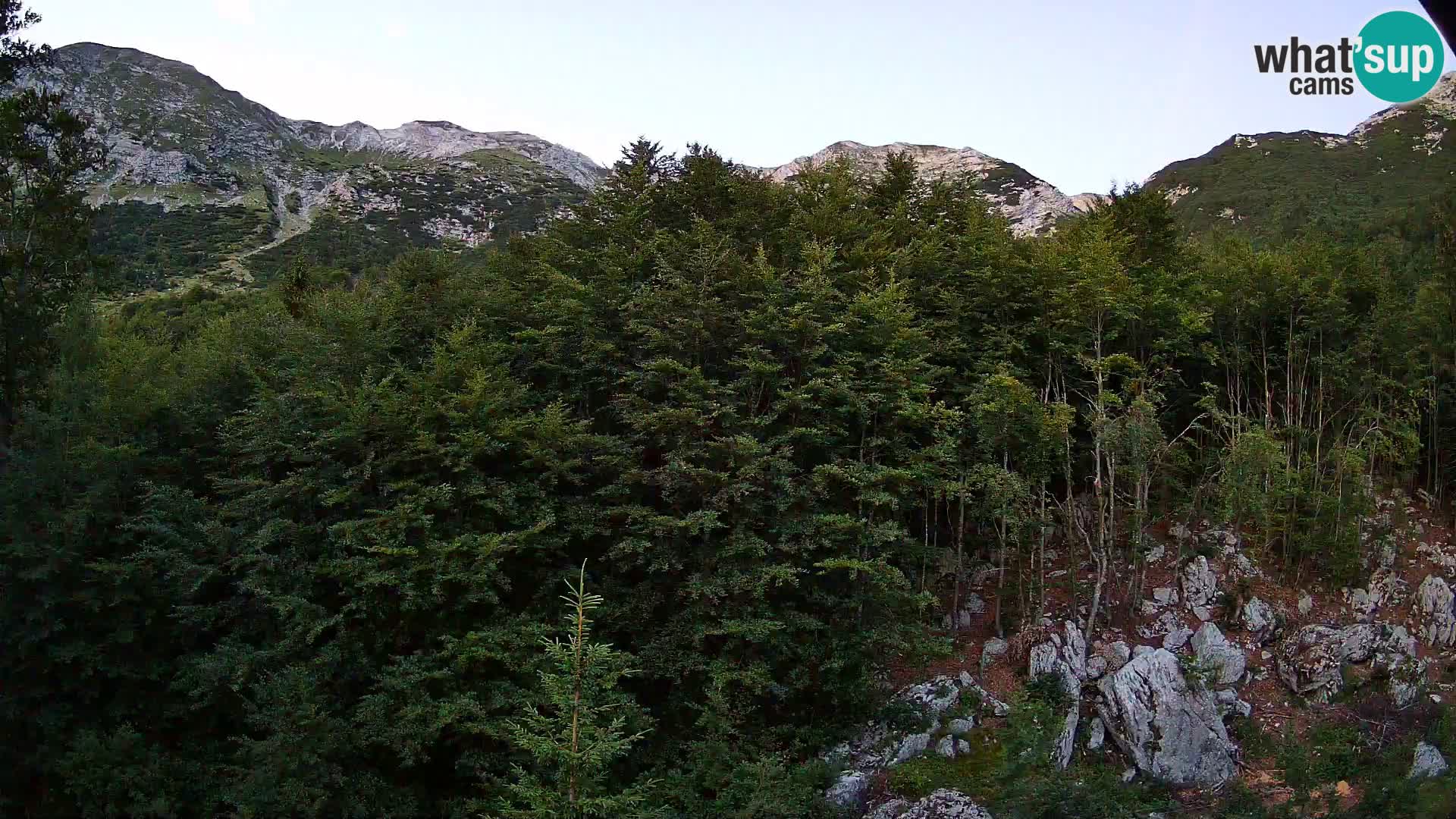 PLANINA RAZOR Live Cam (1315) | vista su Vogel e Globoko