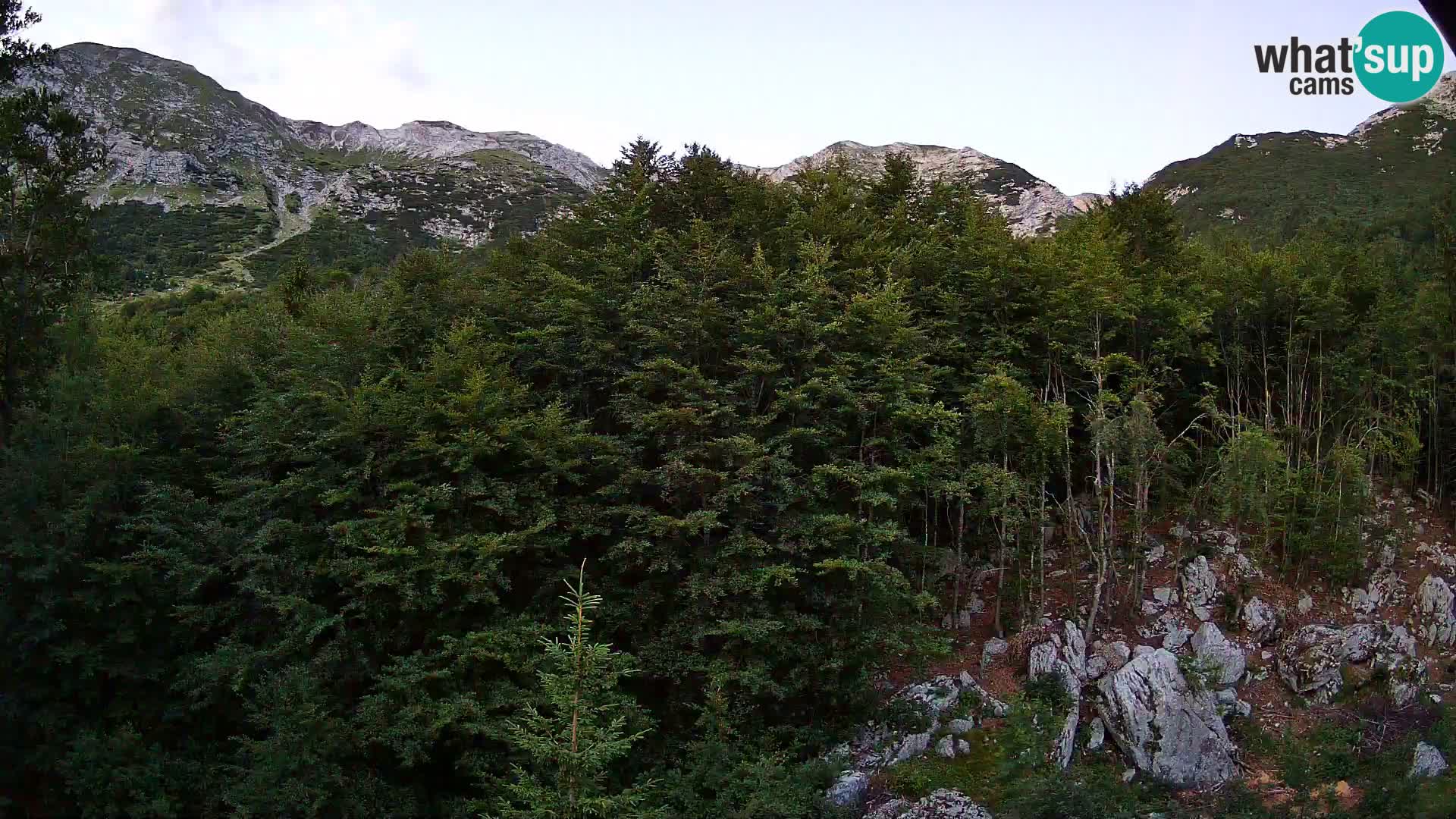PLANINA RAZOR web kamera (1315) | pogled na Vogel i Globoko