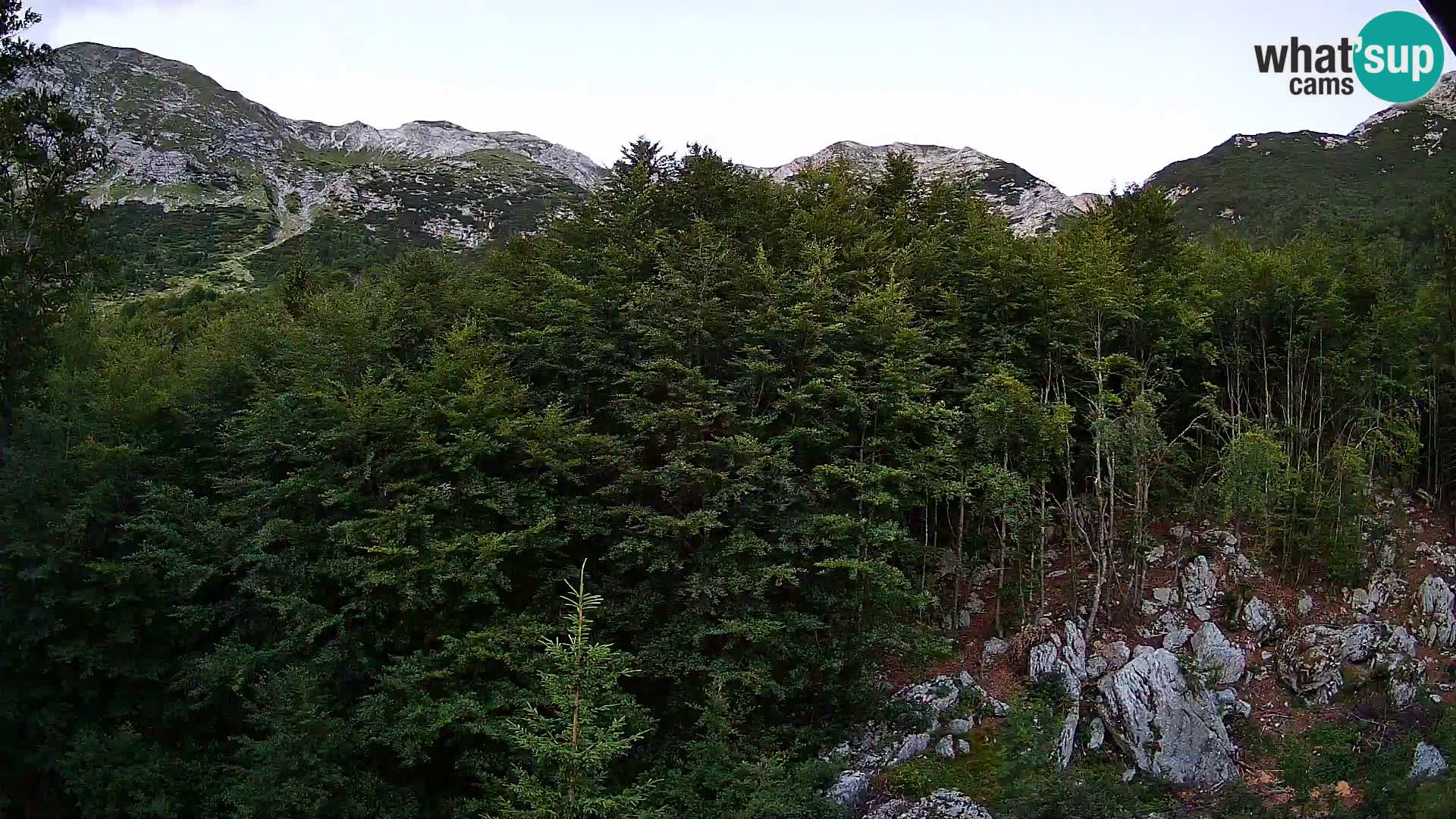Livecam PLANINA RAZOR (1315) | vue sur Vogel et Globoko