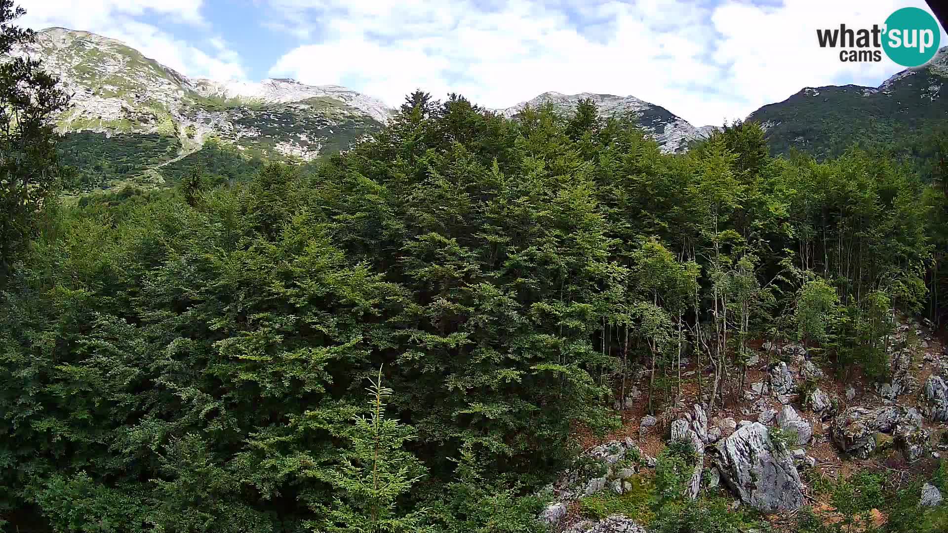 PLANINA RAZOR webcam (1315) | view to Vogel and Globoko