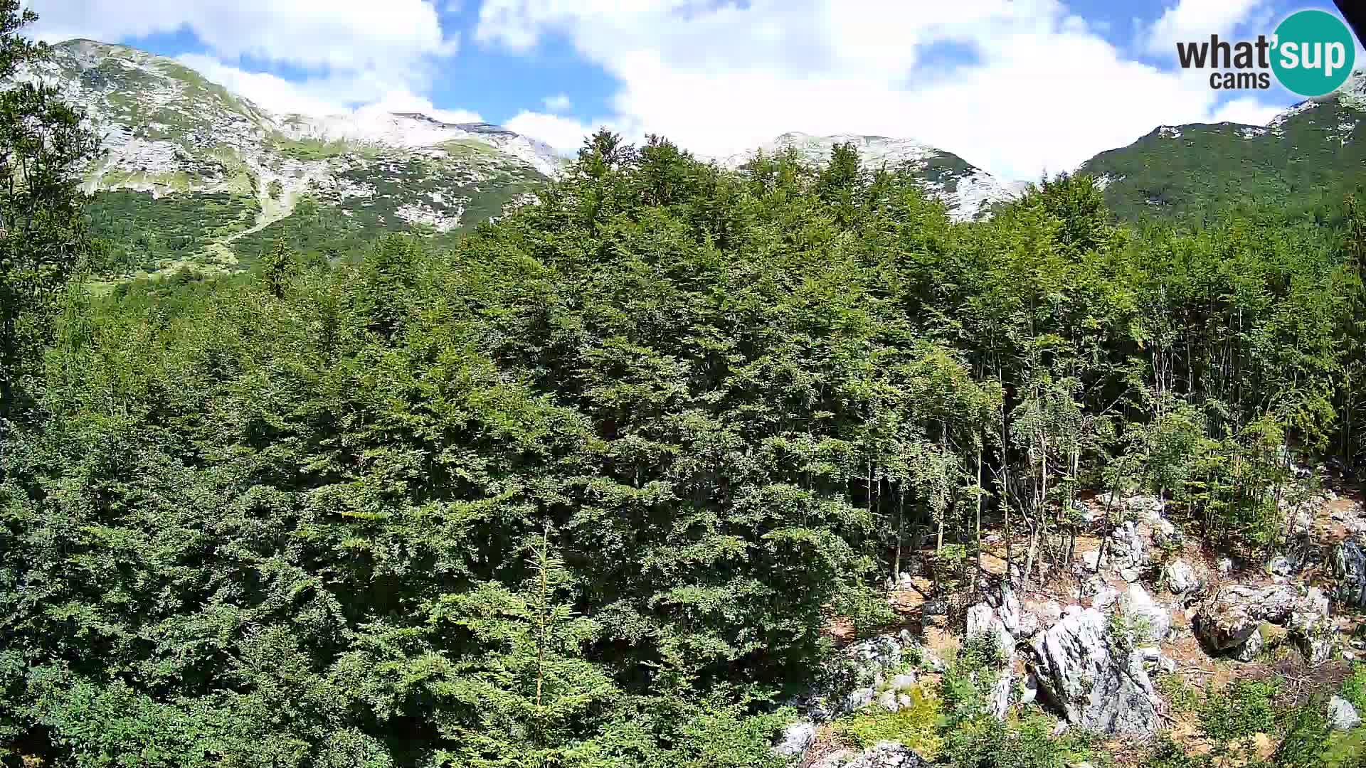 PLANINA RAZOR webcam (1315) | view to Vogel and Globoko