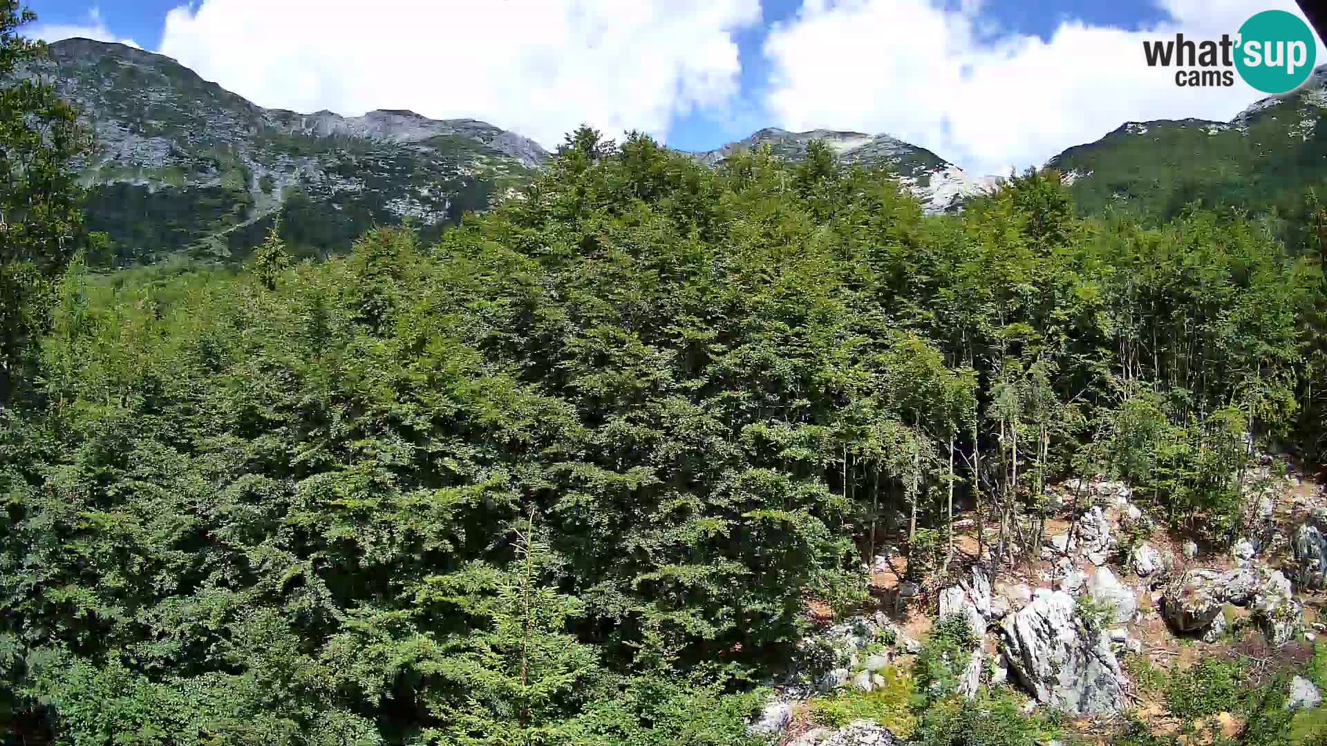 Livecam PLANINA RAZOR (1315) | vue sur Vogel et Globoko
