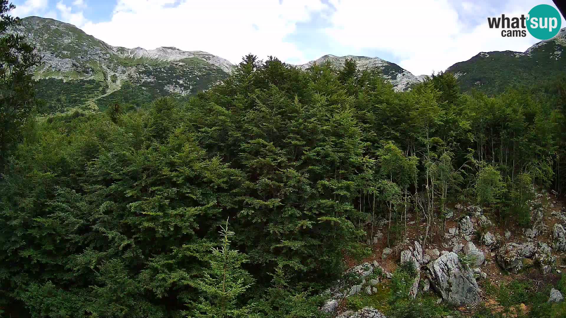 Livecam PLANINA RAZOR (1315) | vue sur Vogel et Globoko