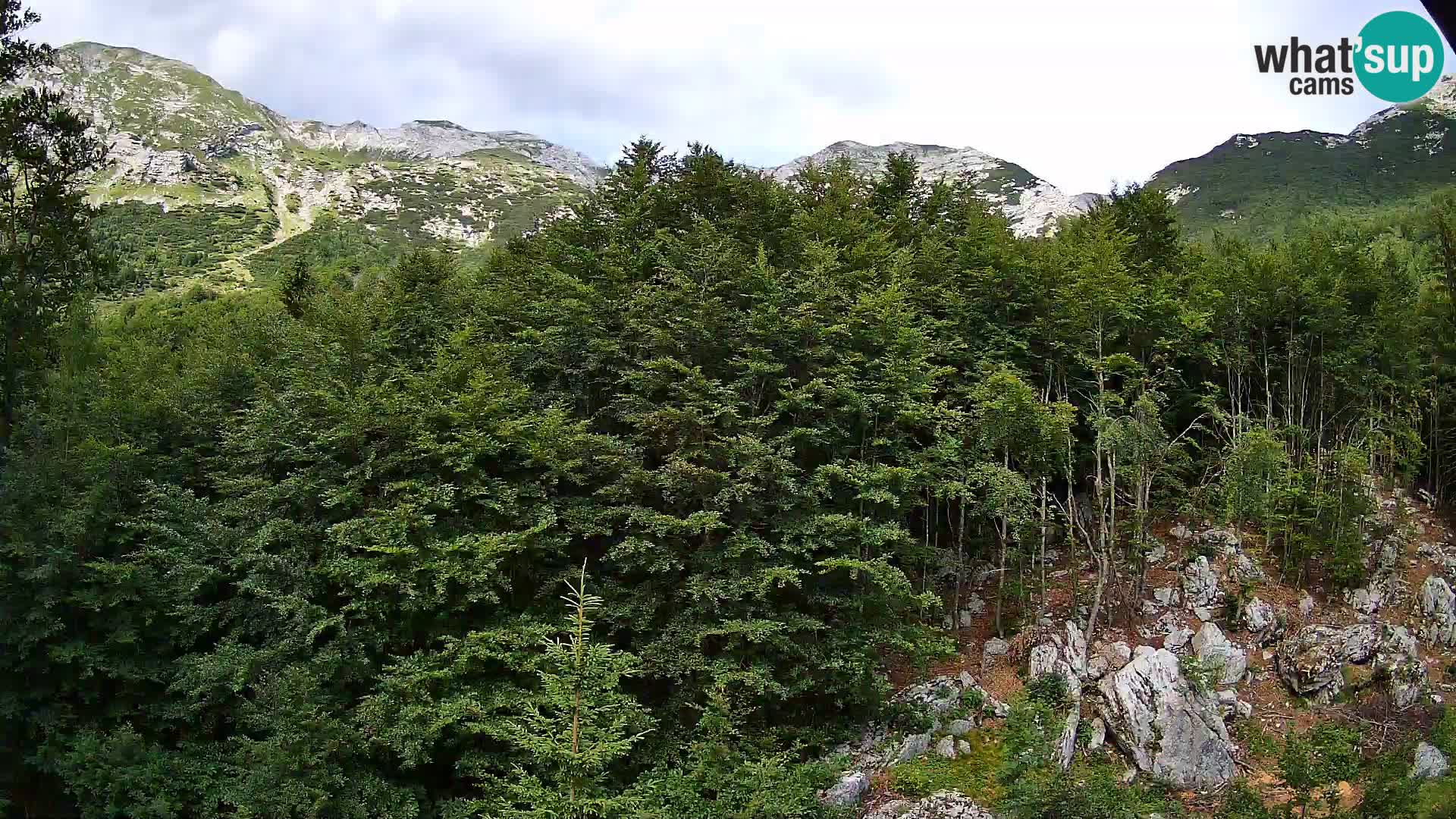 Livecam PLANINA RAZOR (1315) | vue sur Vogel et Globoko
