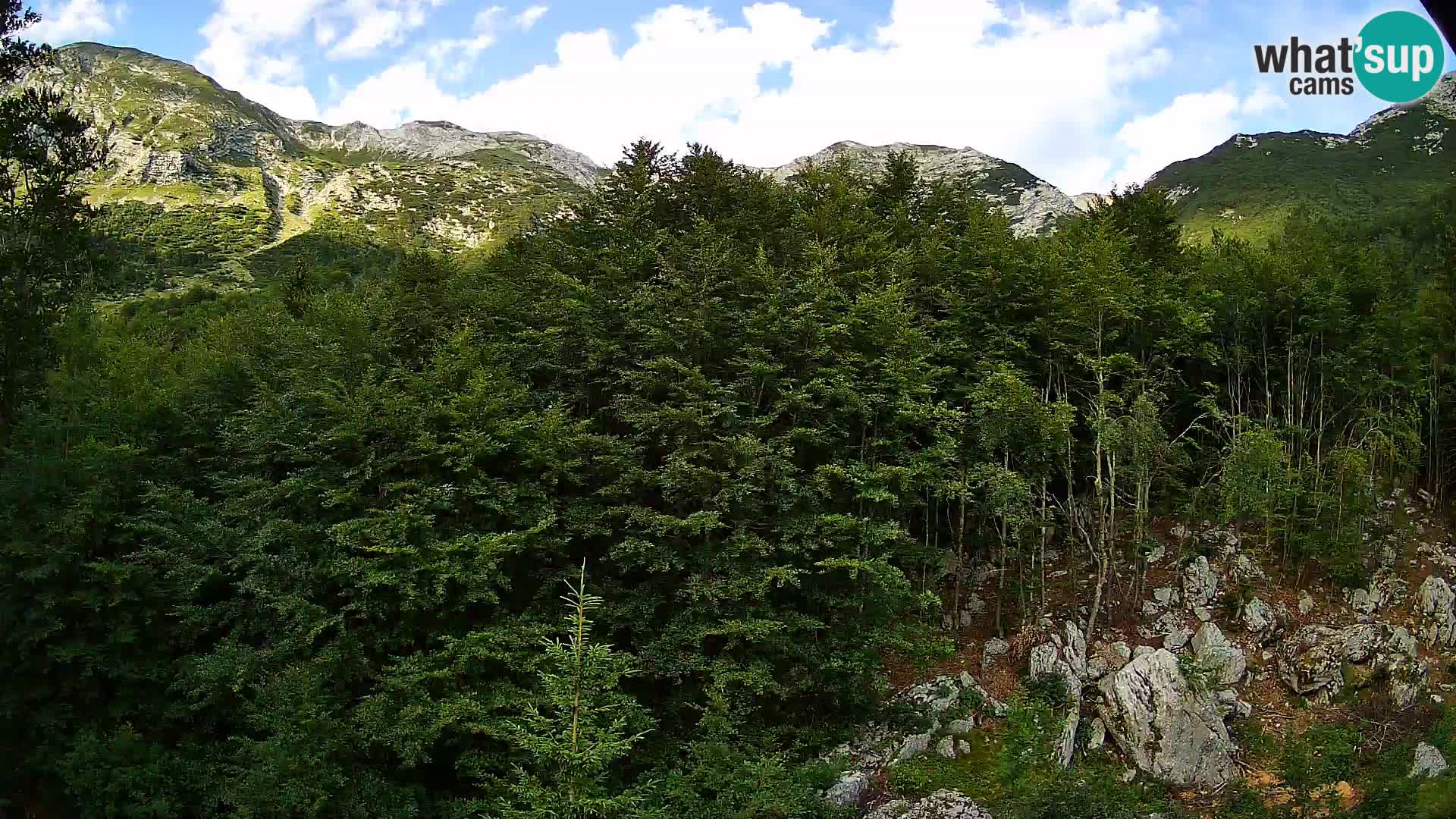Livecam PLANINA RAZOR (1315) | vue sur Vogel et Globoko