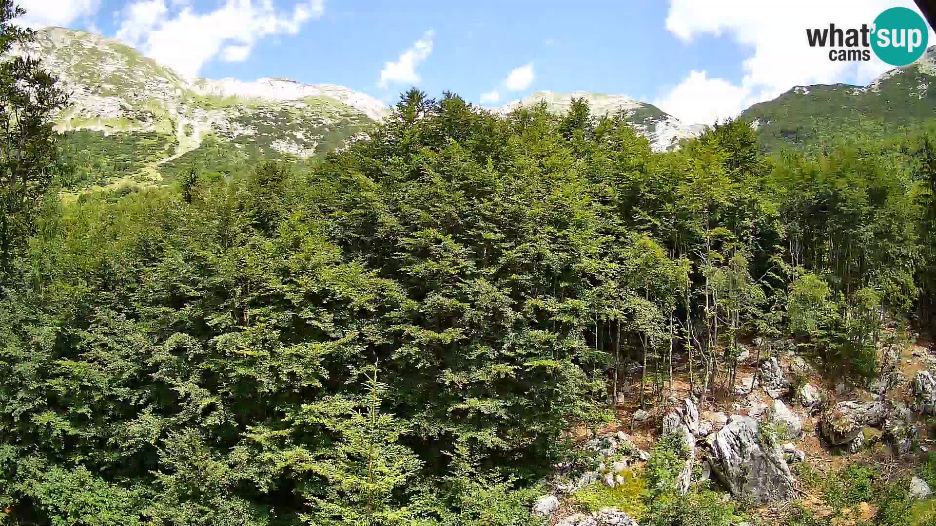 PLANINA RAZOR webcam (1315) | view to Vogel and Globoko