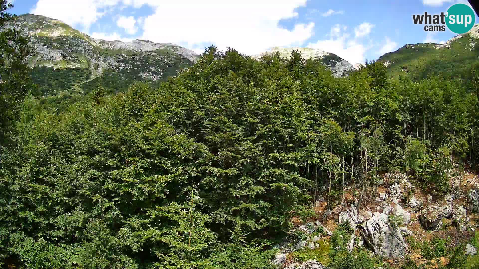 PLANINA RAZOR kamera (1315) | pogled na Vogel in Globoko