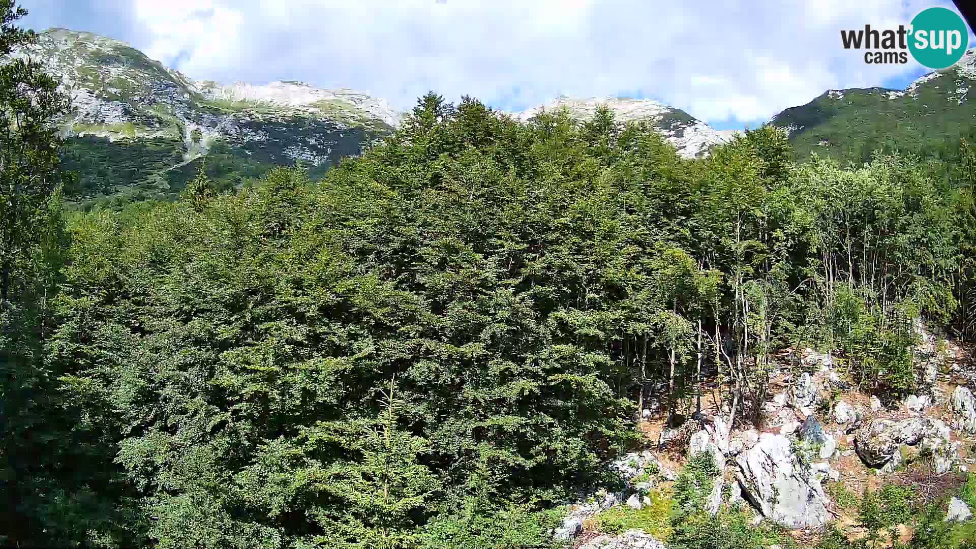 PLANINA RAZOR kamera (1315) | pogled na Vogel in Globoko