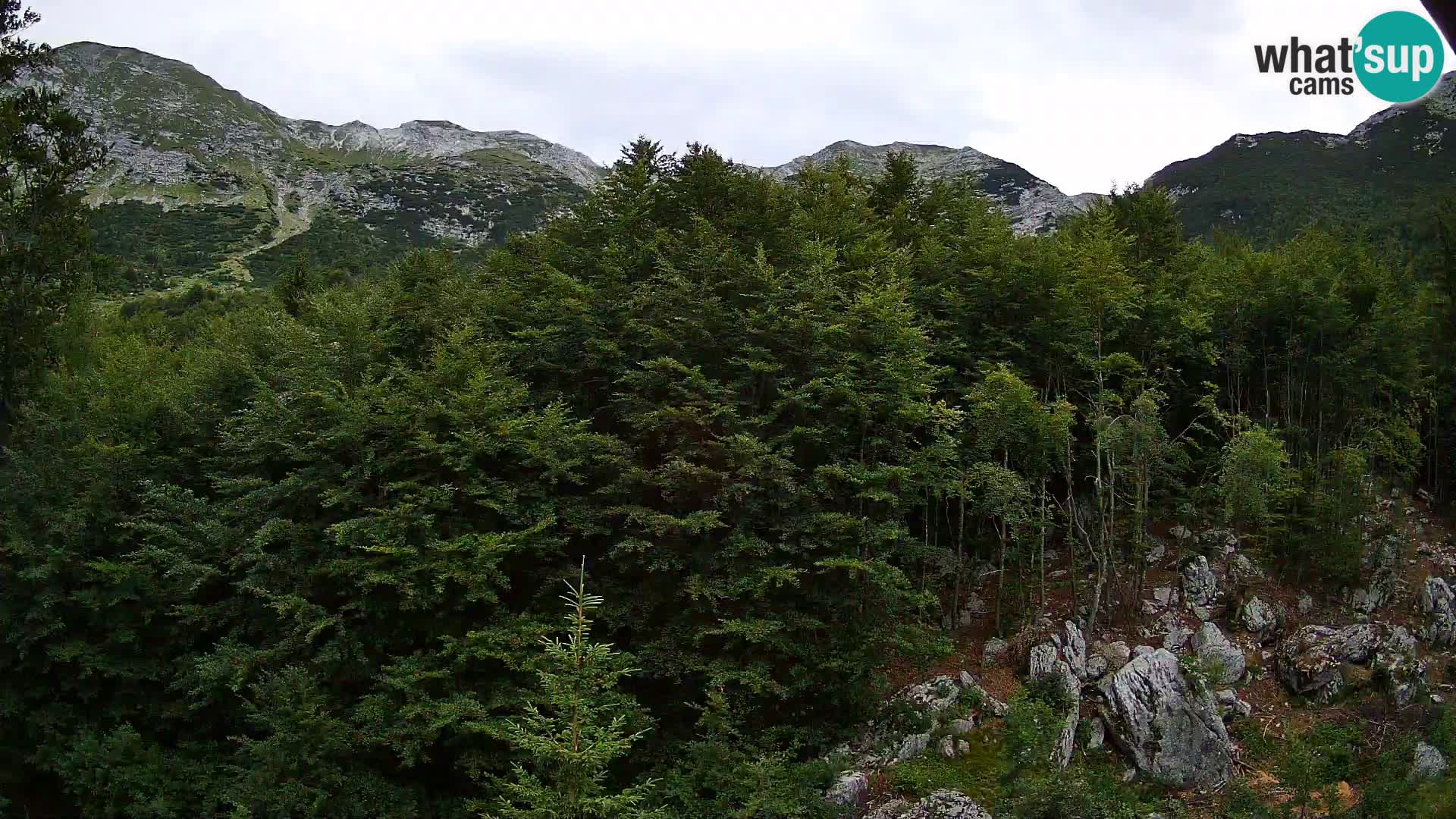 PLANINA RAZOR Live Cam (1315) | vista su Vogel e Globoko