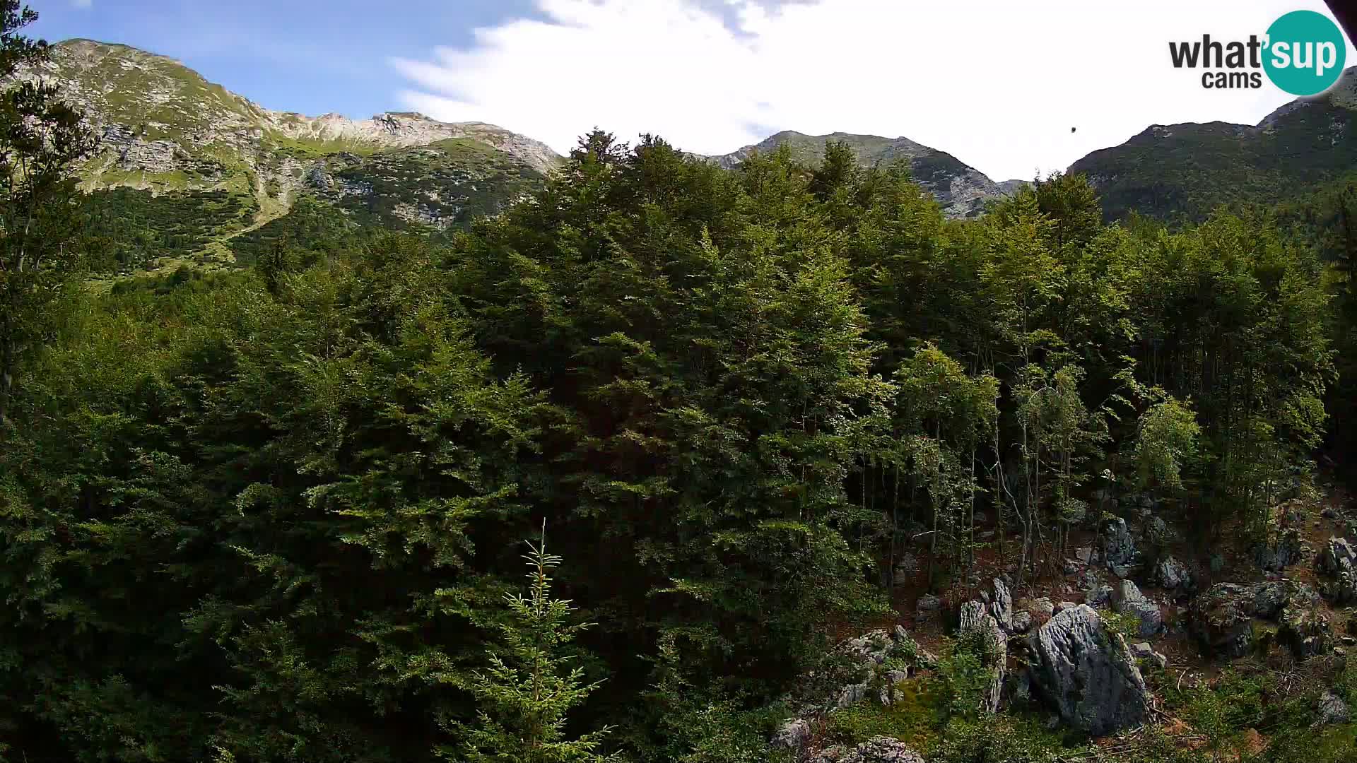 PLANINA RAZOR webcam (1315) | view to Vogel and Globoko