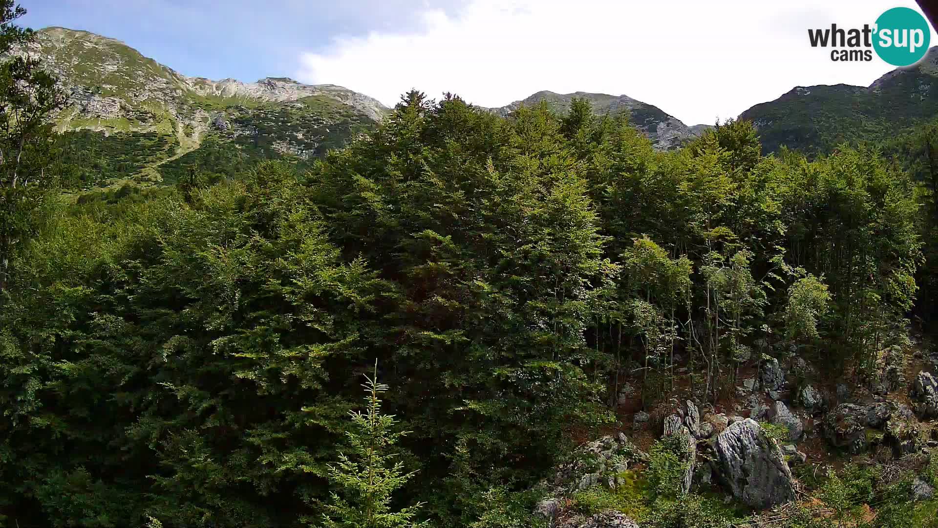 PLANINA RAZOR Live Cam (1315) | vista su Vogel e Globoko
