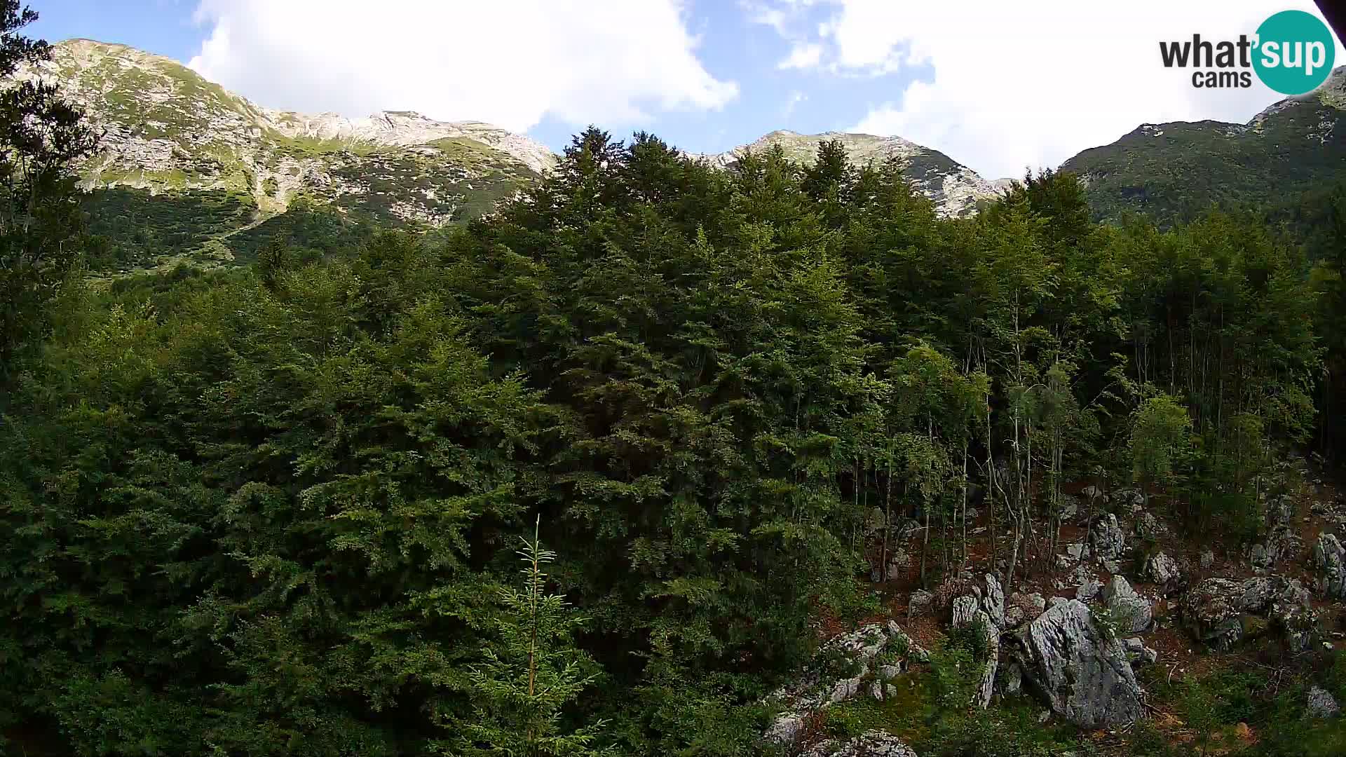 Webcam PLANINA RAZOR (1315) | Blick auf Vogel und Globoko