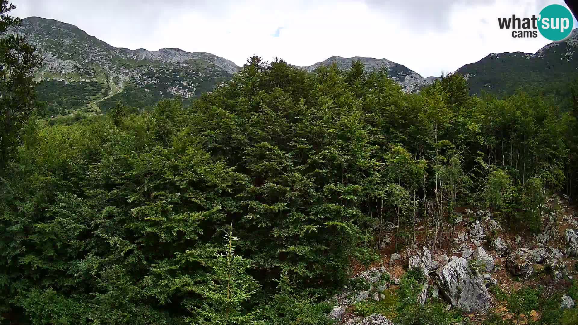 Webcam PLANINA RAZOR (1315) | Blick auf Vogel und Globoko