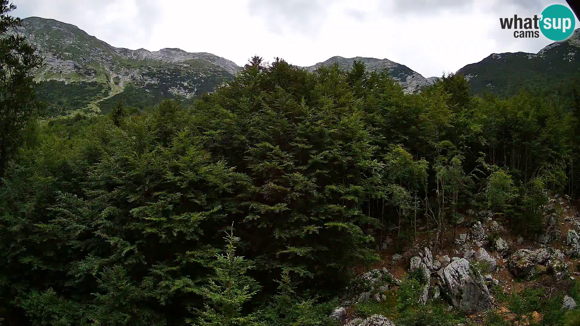 Cámara web PLANINA RAZOR (1315) | vista a Vogel y Globoko