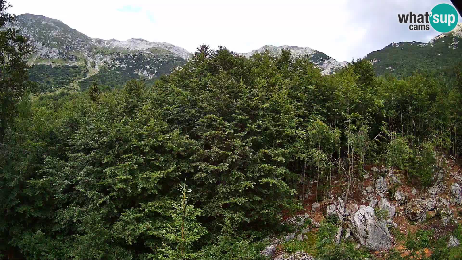Cámara web PLANINA RAZOR (1315) | vista a Vogel y Globoko