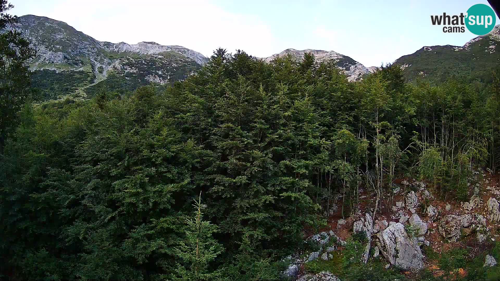 PLANINA RAZOR web kamera (1315) | pogled na Vogel i Globoko