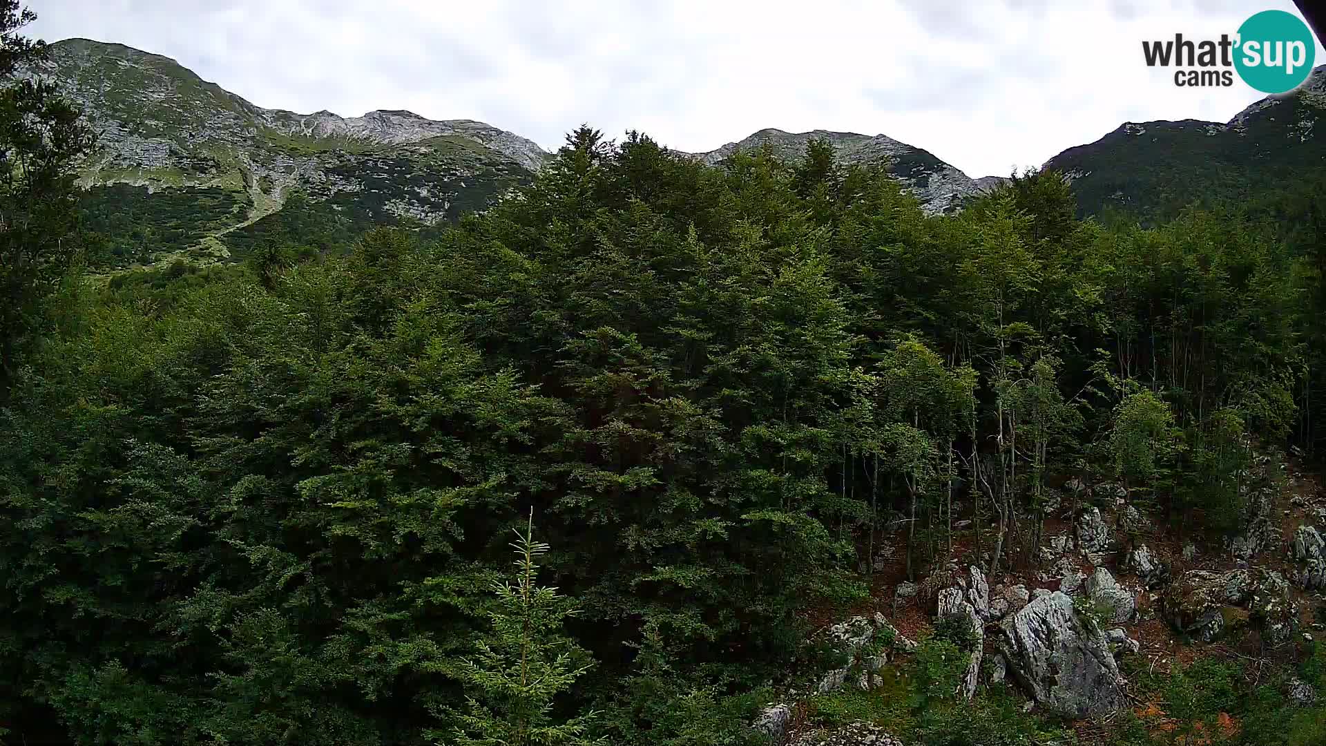 PLANINA RAZOR webcam (1315) | view to Vogel and Globoko