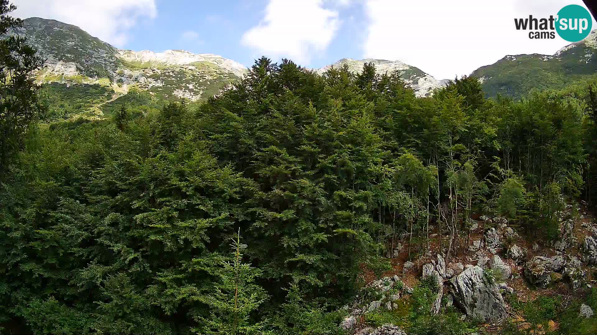 PLANINA RAZOR webcam (1315) | view to Vogel and Globoko