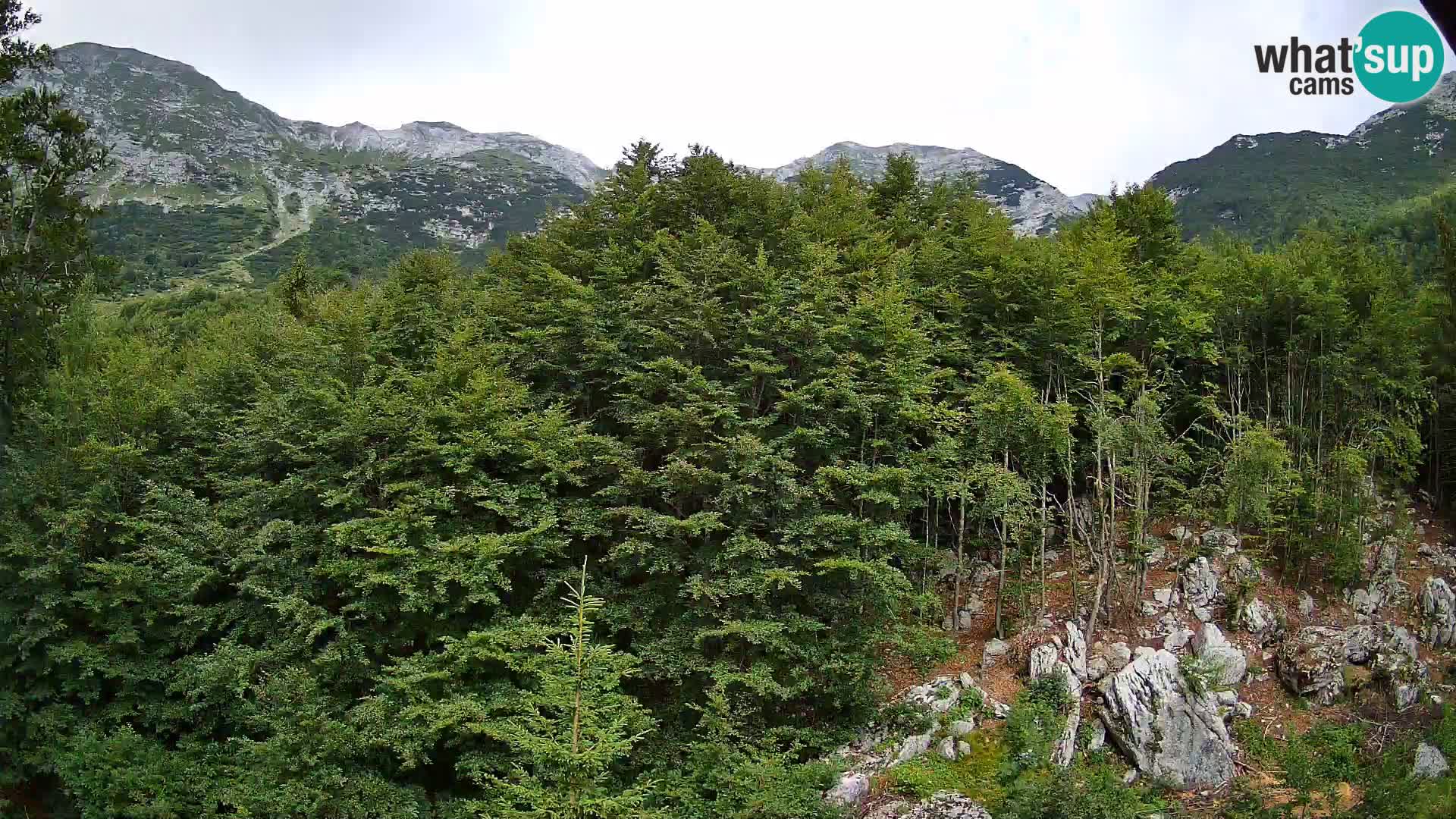PLANINA RAZOR webcam (1315) | view to Vogel and Globoko
