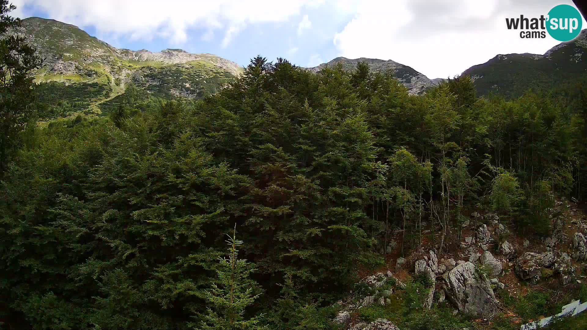 PLANINA RAZOR Live Cam (1315) | vista su Vogel e Globoko