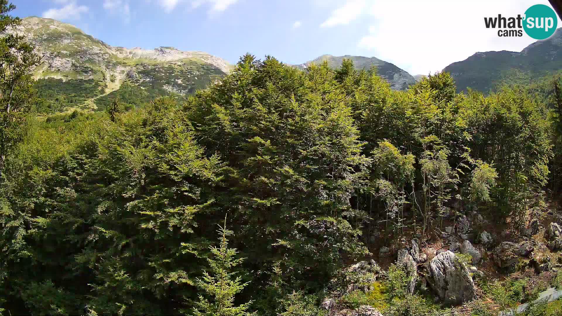 Cámara web PLANINA RAZOR (1315) | vista a Vogel y Globoko