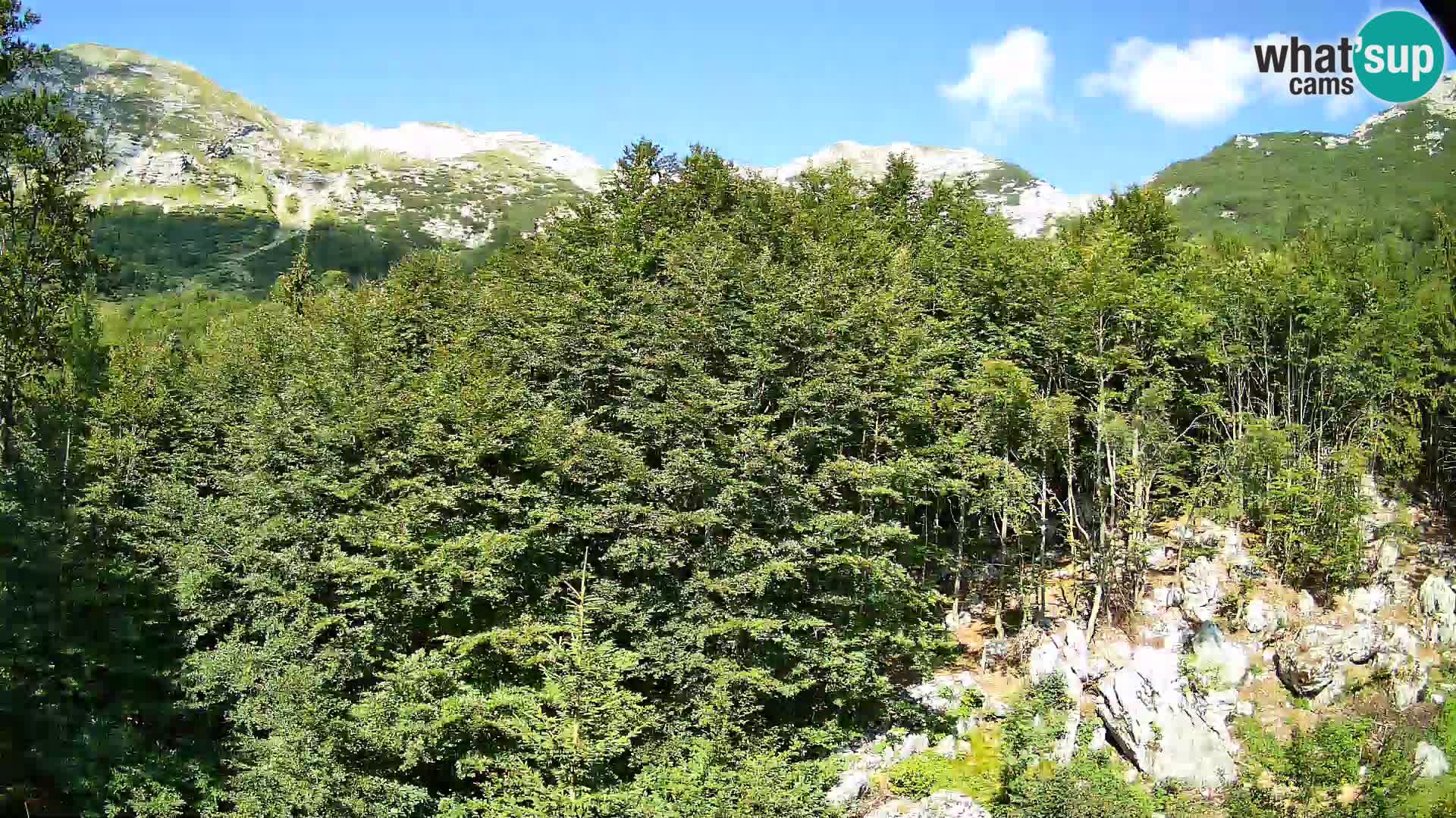 Cámara web PLANINA RAZOR (1315) | vista a Vogel y Globoko