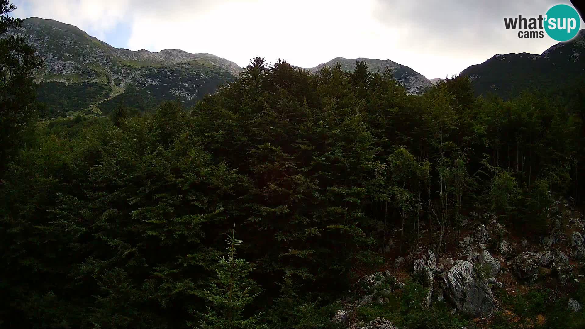 PLANINA RAZOR kamera (1315) | pogled na Vogel in Globoko