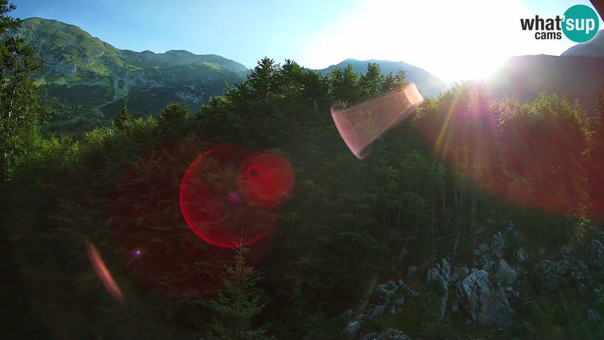 PLANINA RAZOR webcam (1315) | view to Vogel and Globoko