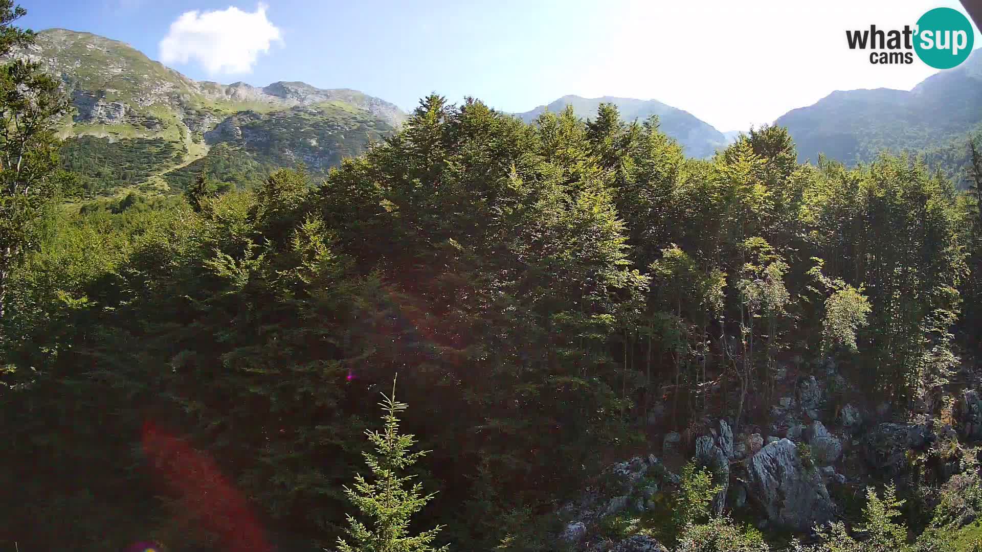 PLANINA RAZOR web kamera (1315) | pogled na Vogel i Globoko