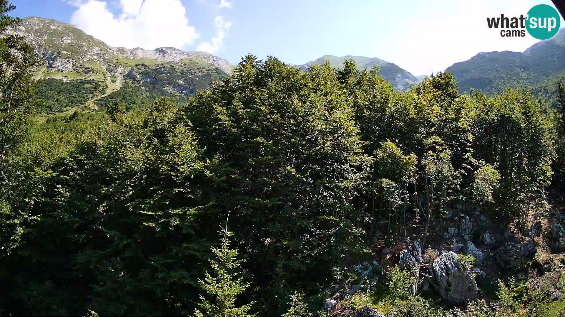 PLANINA RAZOR webcam (1315) | view to Vogel and Globoko