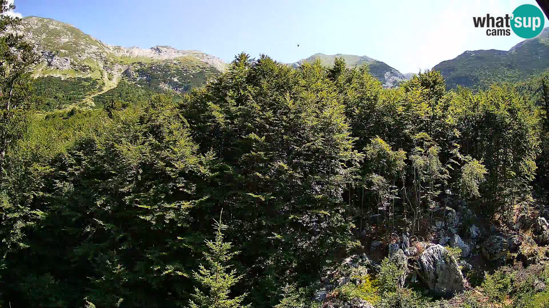Webcam PLANINA RAZOR (1315) | Blick auf Vogel und Globoko