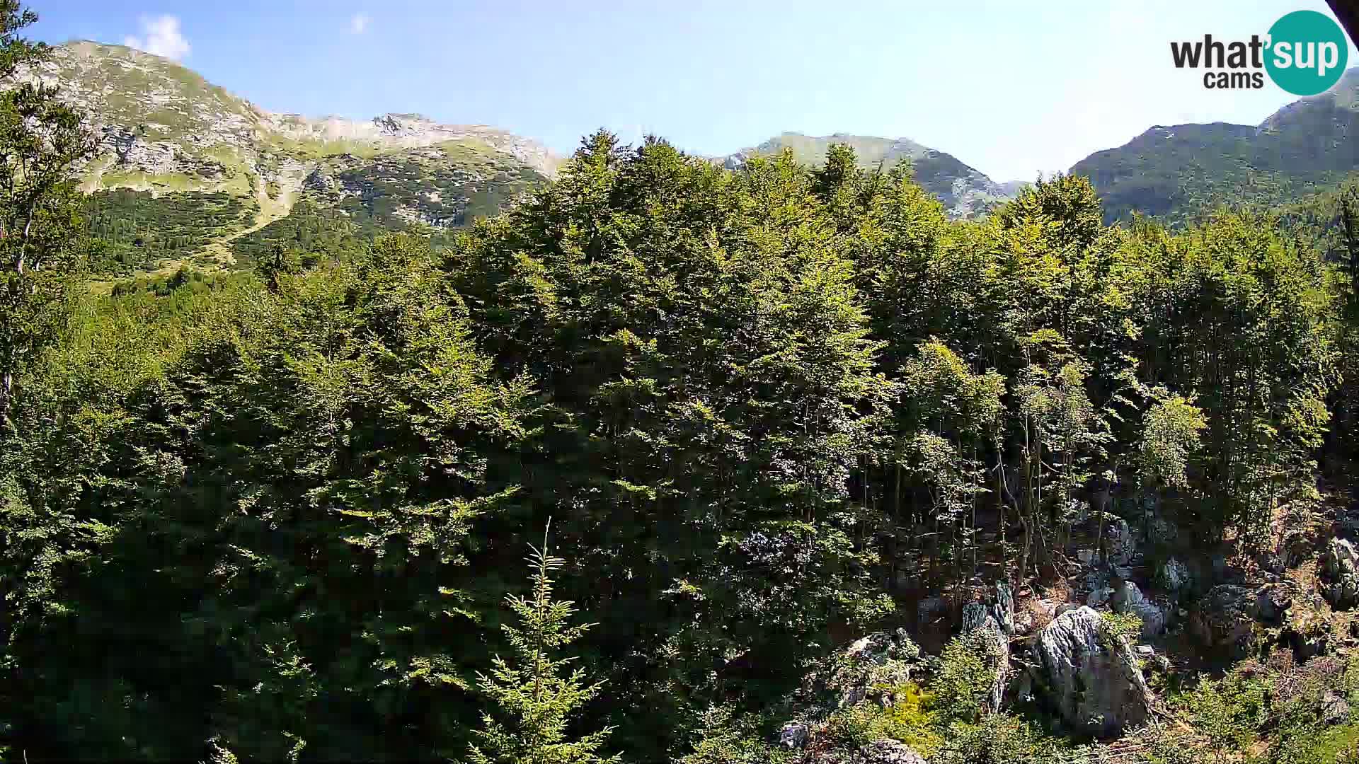 Livecam PLANINA RAZOR (1315) | vue sur Vogel et Globoko