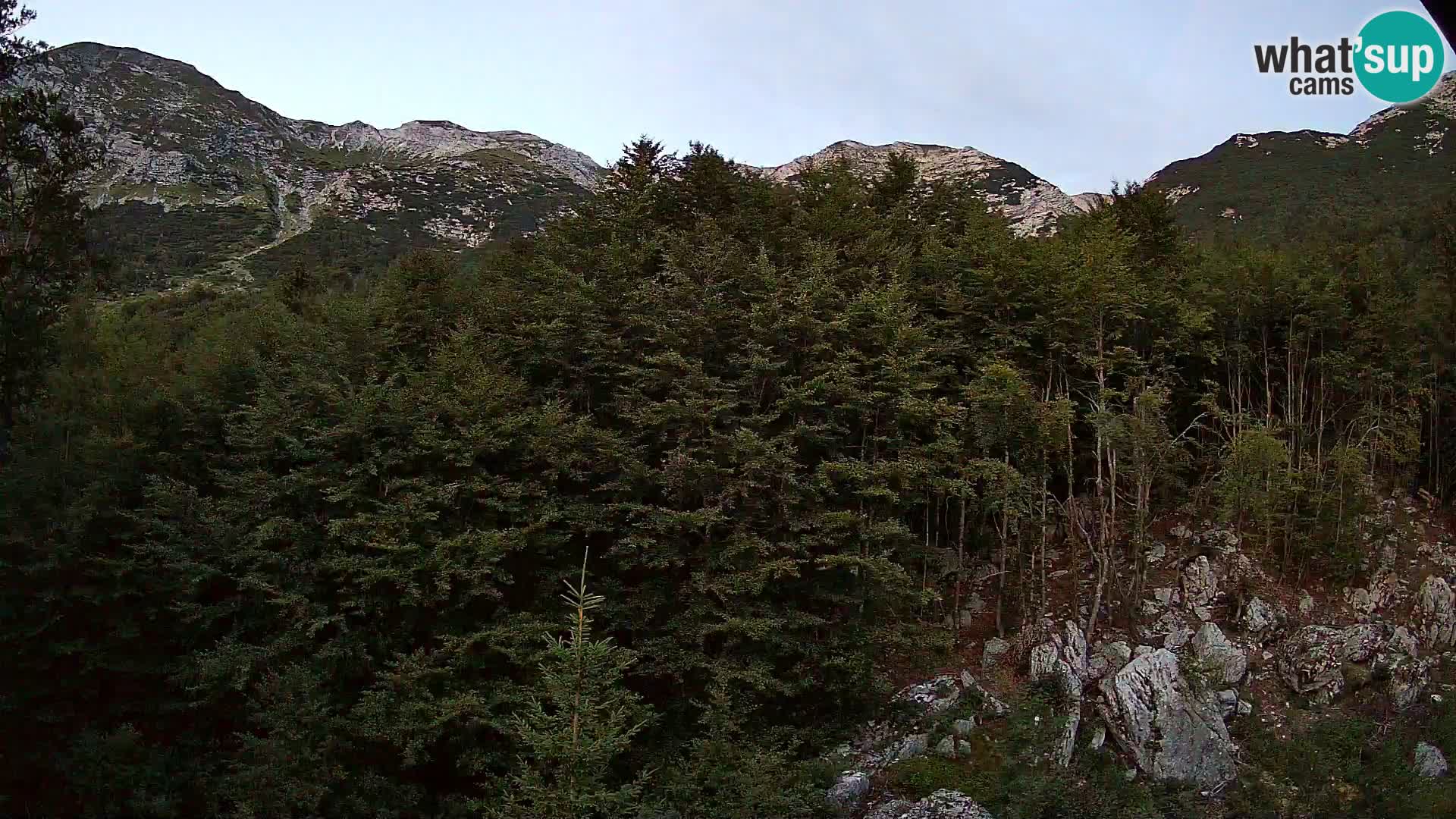 PLANINA RAZOR web kamera (1315) | pogled na Vogel i Globoko