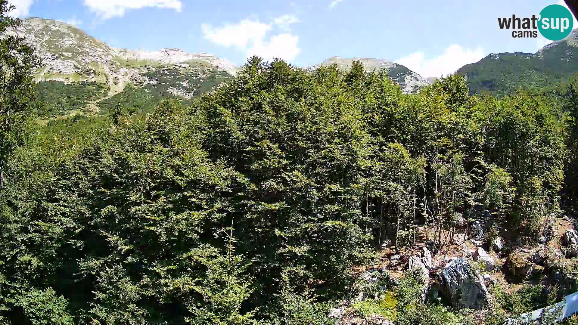 PLANINA RAZOR Live Cam (1315) | vista su Vogel e Globoko