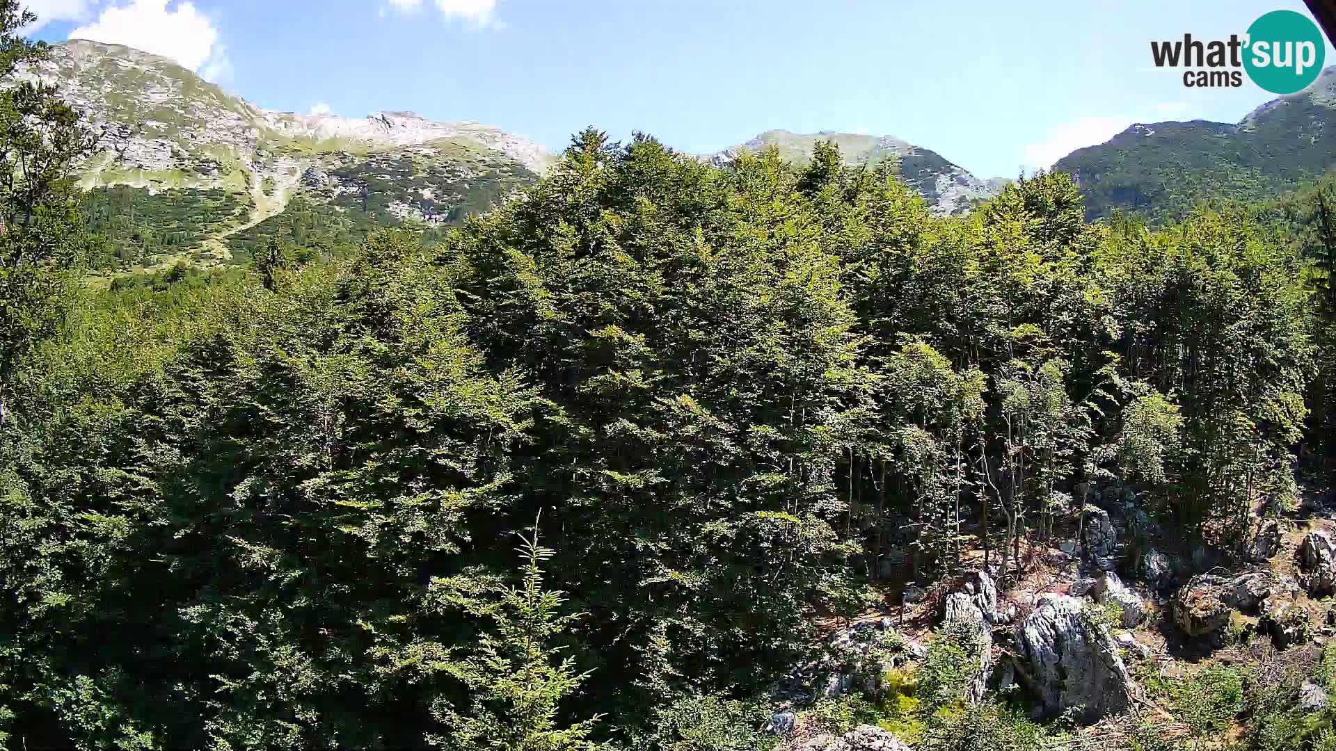 Livecam PLANINA RAZOR (1315) | vue sur Vogel et Globoko