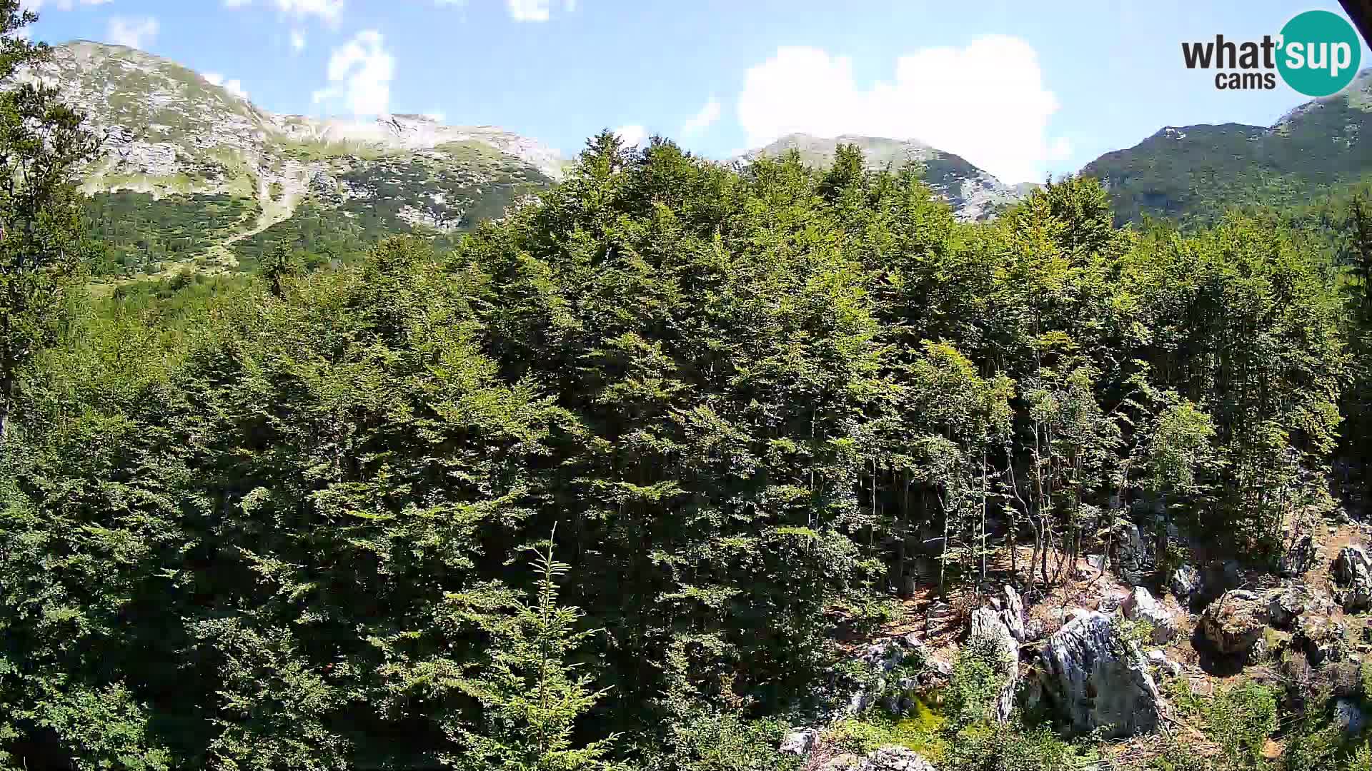 Webcam PLANINA RAZOR (1315) | Blick auf Vogel und Globoko
