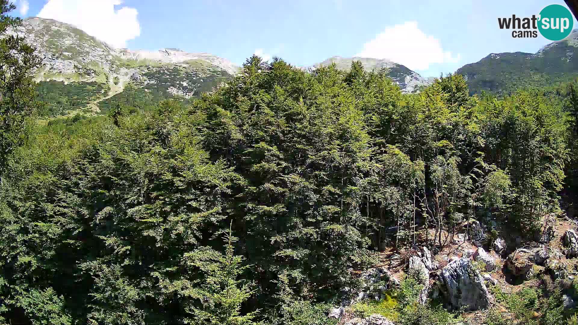 Livecam PLANINA RAZOR (1315) | vue sur Vogel et Globoko