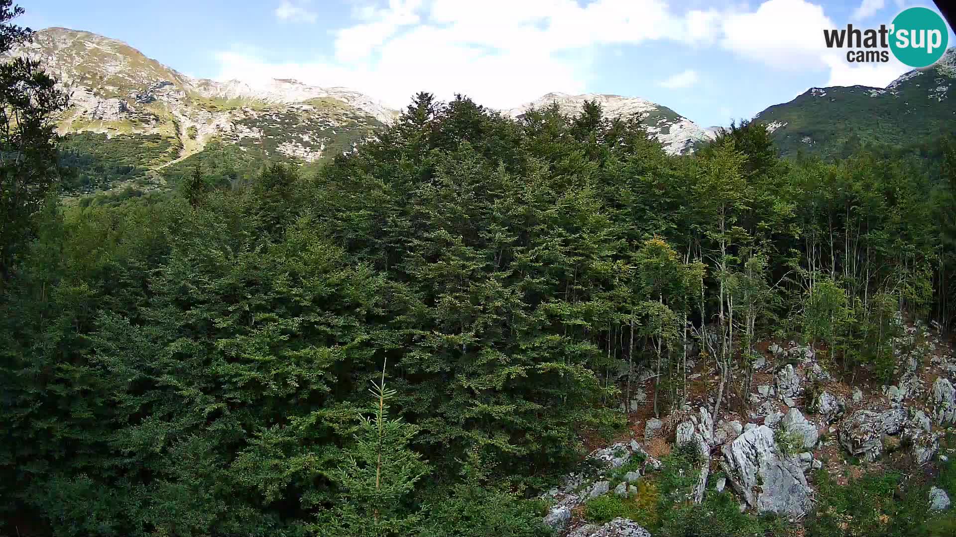 Livecam PLANINA RAZOR (1315) | vue sur Vogel et Globoko
