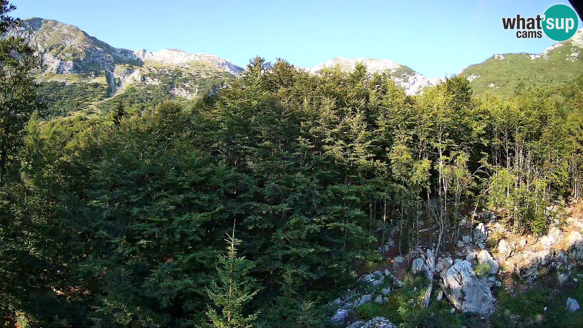 Livecam PLANINA RAZOR (1315) | vue sur Vogel et Globoko