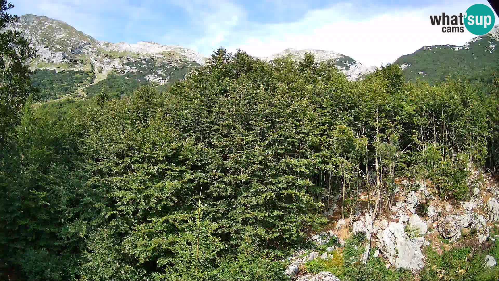 PLANINA RAZOR Live Cam (1315) | vista su Vogel e Globoko